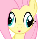 FlutterGoober