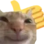 catokay catokay