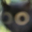 BUGEYES