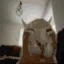 f_BuhFlipExplode