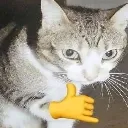 cat_call_me