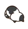 flop_kitty