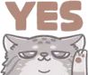 pallasyes