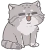 pallashappy
