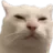 CatHmm