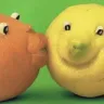 fruitsmooch