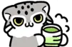 pallastea