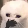 OMG