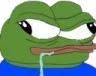 PepeDumb