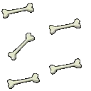 Bones