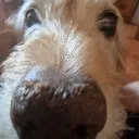 hardenedselinuxdog