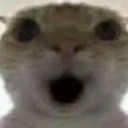 omg_shocked Discord emoji