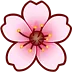 CherryBlossom