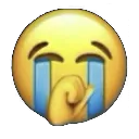 cry cry