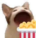 bopcorn