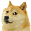 doge