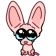 prawnBaby
