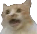 guhcat