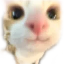 333