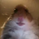 my_mom_found_my_porn_collection