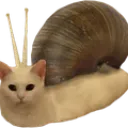 catsnail catsnail