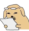 poordog3