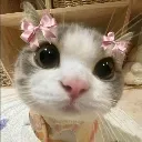 cutie