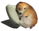 :SleepingChomik: