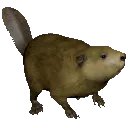 beaverDance beaverDance