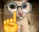 nerd_cat nerd_cat