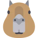 Capybara_head