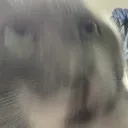 whatthehell