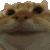 Discord Emote moon_cat_yes:
