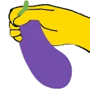 zucchina