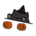 HalloweenBongoCat