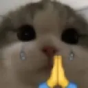 catpray