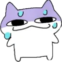 cat_sweat