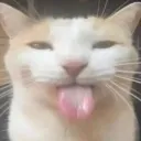 Bleh Bleh