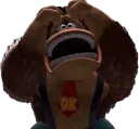 dkcry