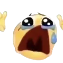 WHYYYYY