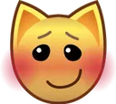 aj_blush