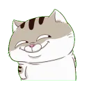 image0 image0