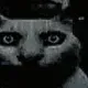 FEAR