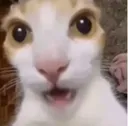 huh