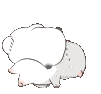 moew_kitten_fight