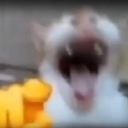 lol