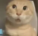 laowu