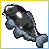 Koi_fish