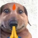 ba3b12a0609a42e9bb373d8356f25919