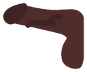 penis